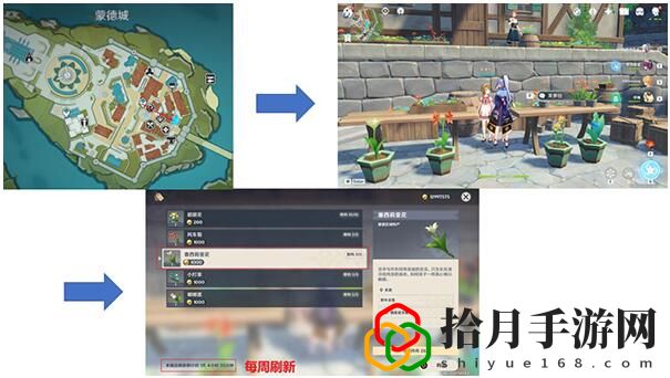 塞西莉亚花采集路线 副本挑战评分机制与高分技巧