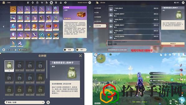 塞西莉亚花采集路线 副本挑战评分机制与高分技巧