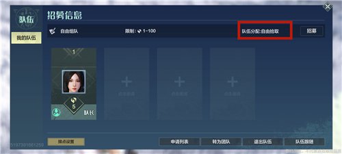 妄想山海怎么组队 怎么防止别人抢东西