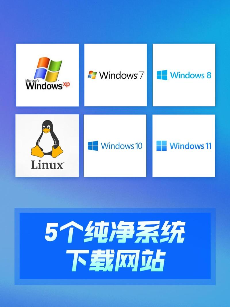 9.1平台