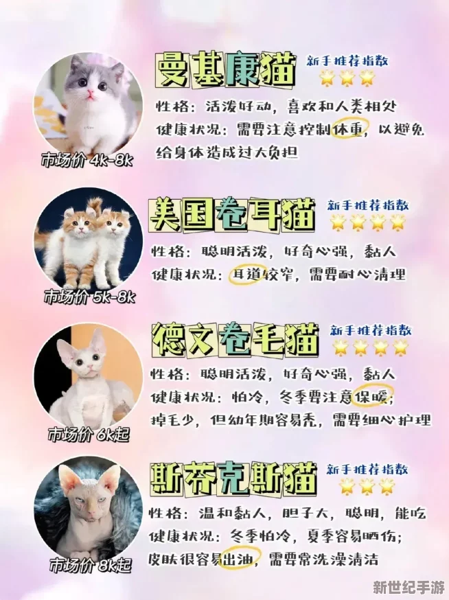猫咪mav最新地域网名怎么取