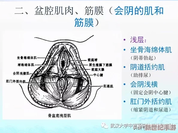 女性**特技表演αV