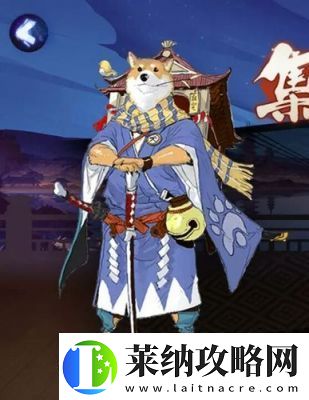 精选指南