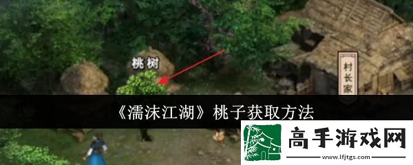 【玩家社区】濡沫江湖怎么获得桃子