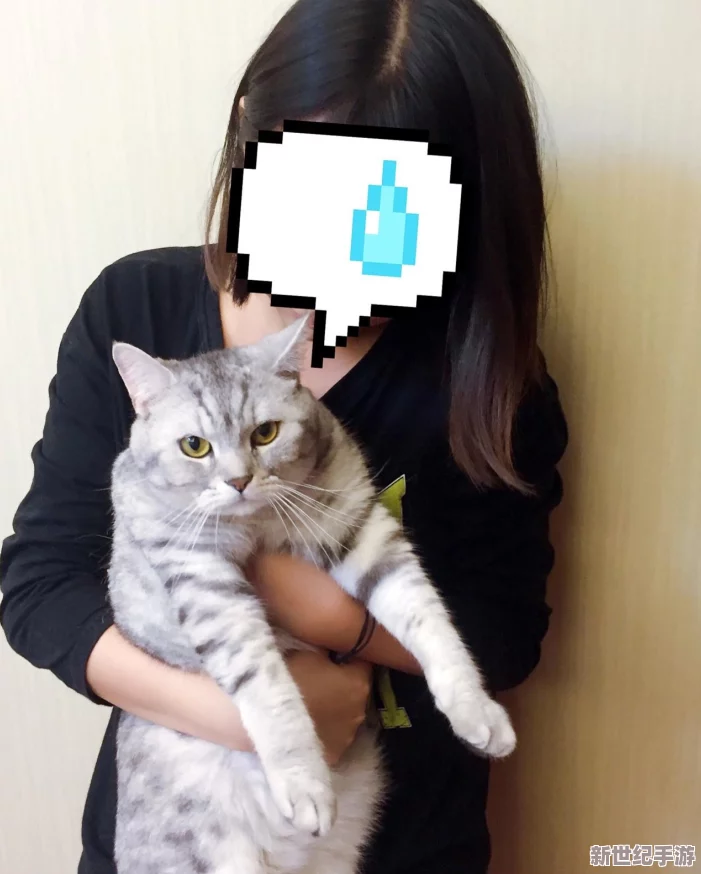 猫咪mav最新地域网名怎么取
