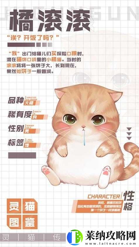 灵猫传橘苗苗究竟如何