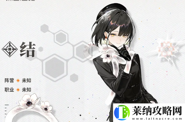 新月同行结值得抽吗