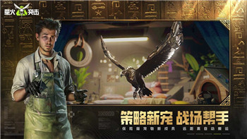 牧羊人之心炼金推荐表2020