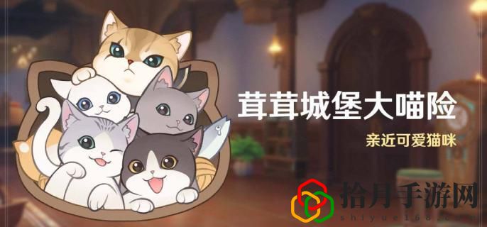 茸茸城堡大喵险什么时候 助你快速进阶