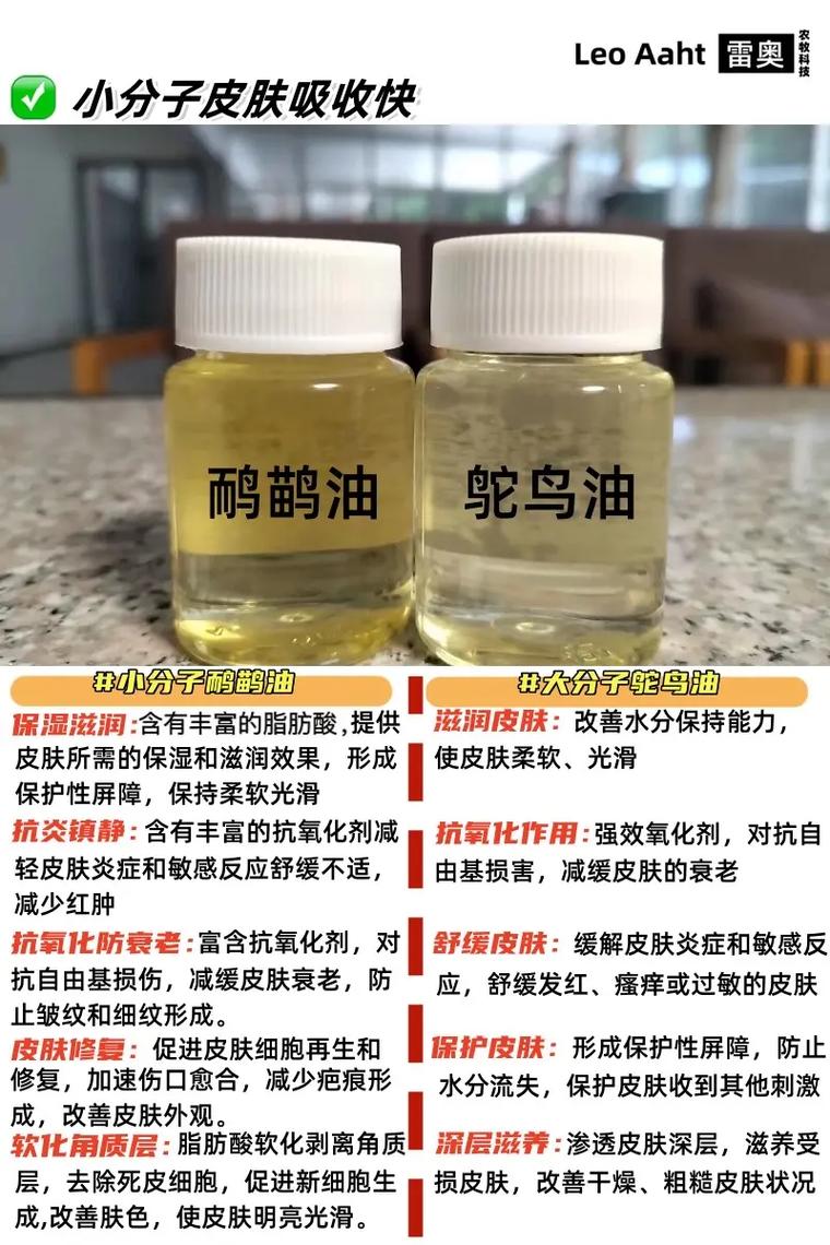 扌桑辶畐和畐畬的区别