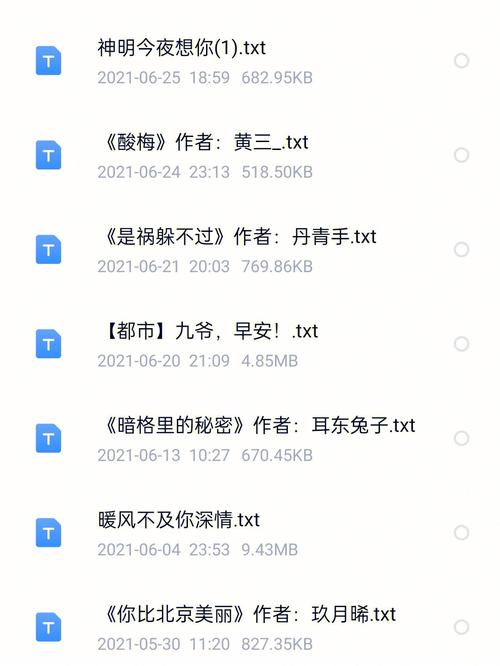 t大校花沉浮录续集txt