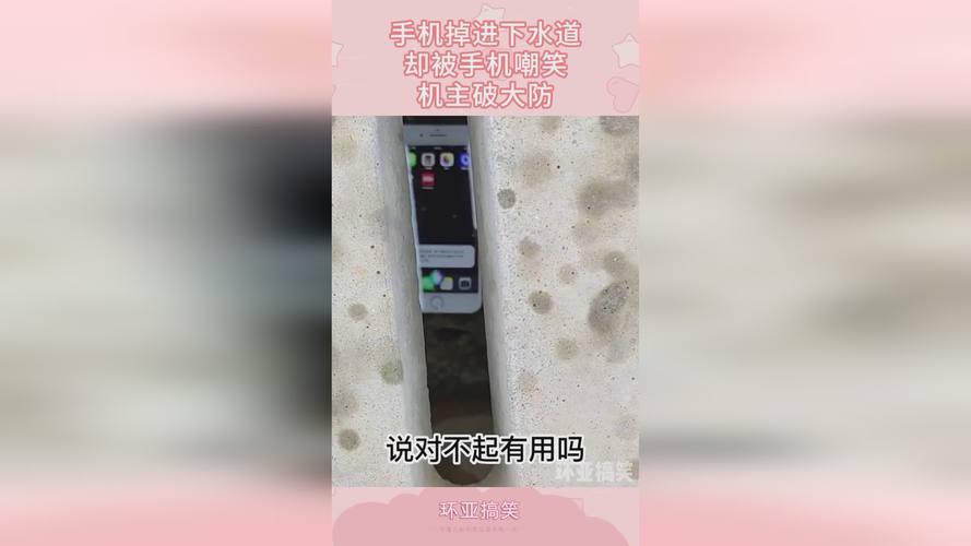 X7X7x7x7任意噪入口