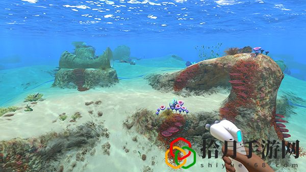 深海迷航安全区坐标(美丽水世界安全区海底世界地图介绍)