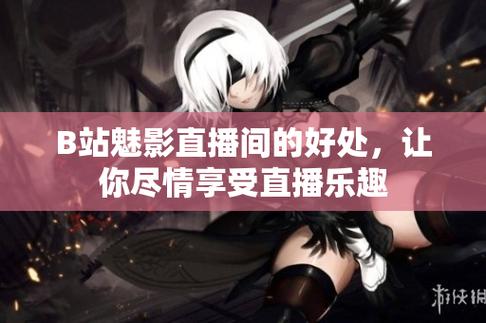 魅影看B站直播