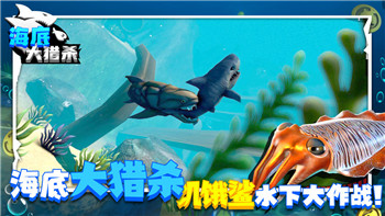 《极限竞速地平线5》各赛事万用车辆调校介绍！