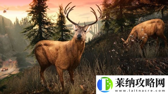 三男一狗PC增强版现已正式上线！3060可爽翻天