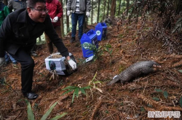 中国城市XXXXXLmedjyfBD惊现神秘生物