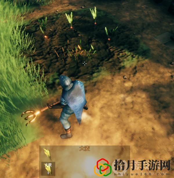 valheim灵魂神殿在哪种田