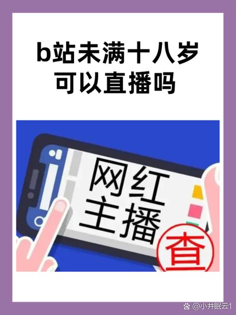 B站未满十八岁不能消费