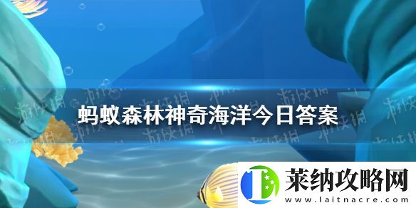 海豚有牙齿吗