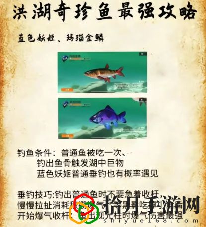 洪湖最后两条鱼位置和垂钓技巧分享 共同探索游戏世界