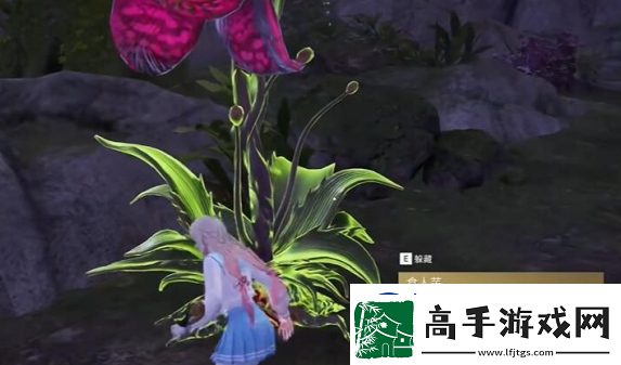 永劫无间龙隐洞天食人芋位置分享