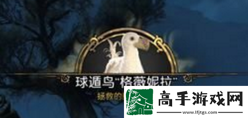 霍格沃茨之遗丰羽之鸟任务如何完成