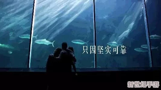 探索免费的靠逼视频资源