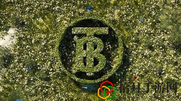 王者荣耀瑶瑶巴宝莉皮肤什么时候出