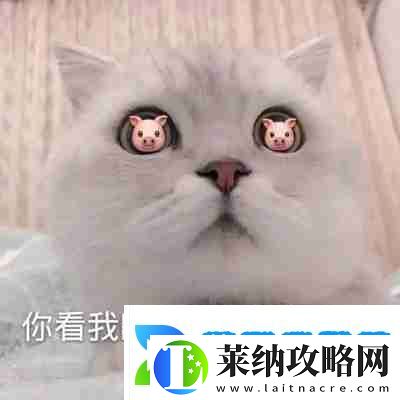 兜风吗妹妹表情包