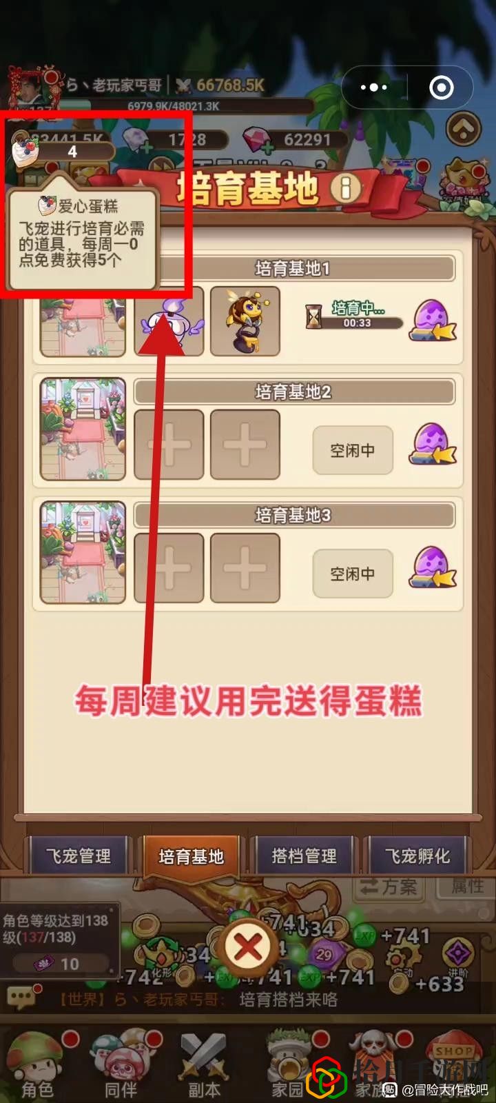 飞宠管理及云缠天梯试炼补充建议 明确自己的角色发挥最大作用