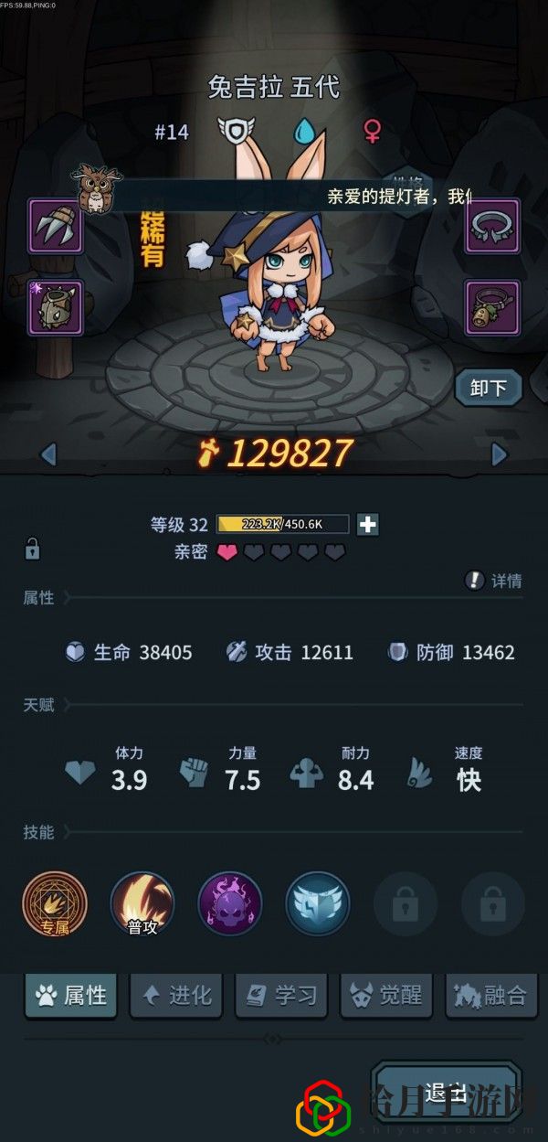 提灯与地下城带什么宠物好