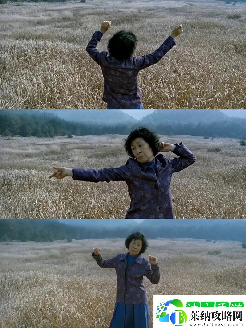 丰富情感我的姐妹韩剧电视剧妈妈