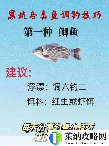 弹涂鱼垂钓秘籍