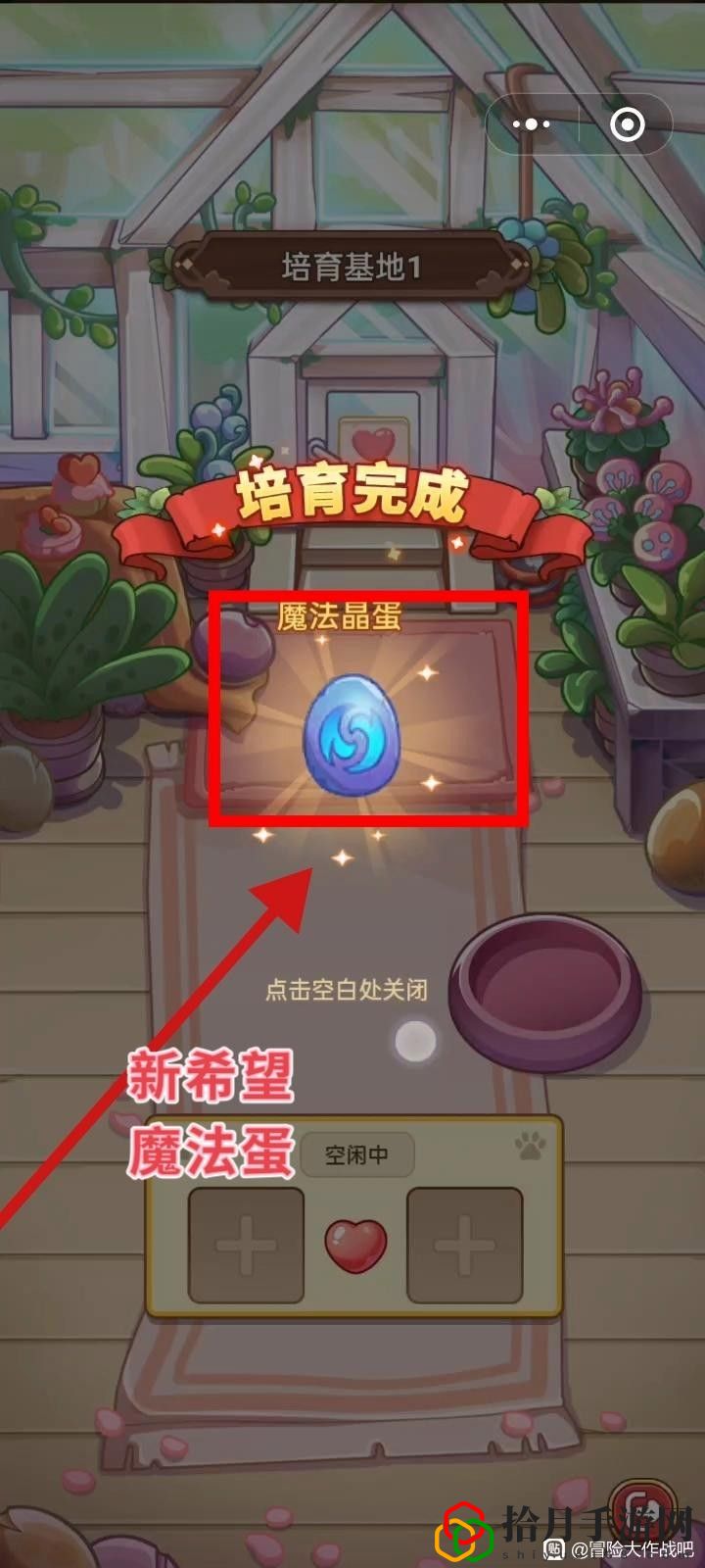 飞宠管理及云缠天梯试炼补充建议 明确自己的角色发挥最大作用