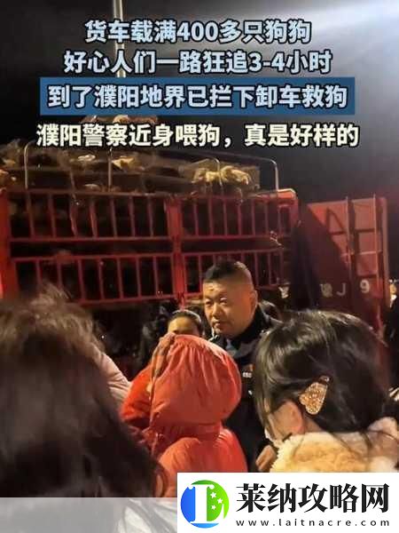 春节归家奇遇记友车内满载爱犬带窝共赴团圆路