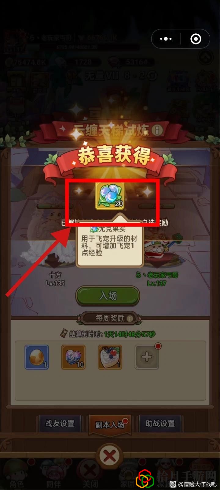 飞宠管理及云缠天梯试炼补充建议 明确自己的角色发挥最大作用