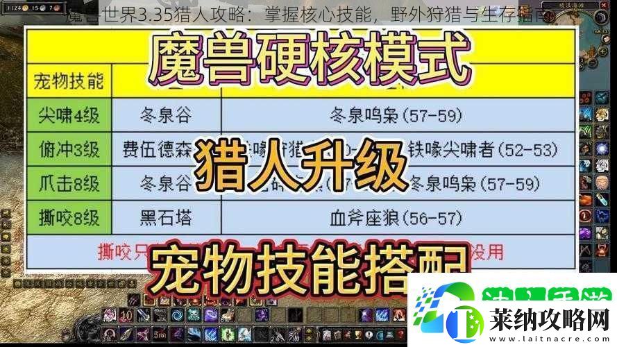 魔兽世界3.35猎人攻略