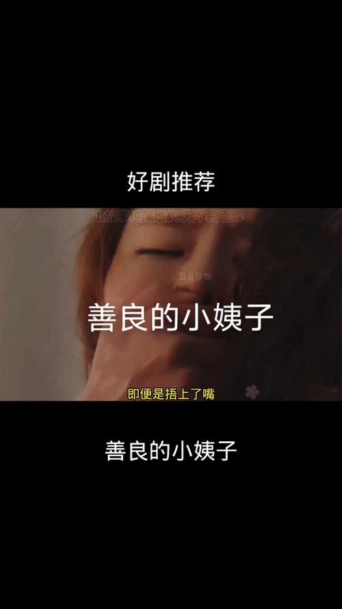 中字在姨母家的爱情里叫什么
