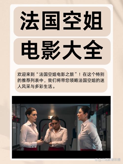 法国空乘2电影