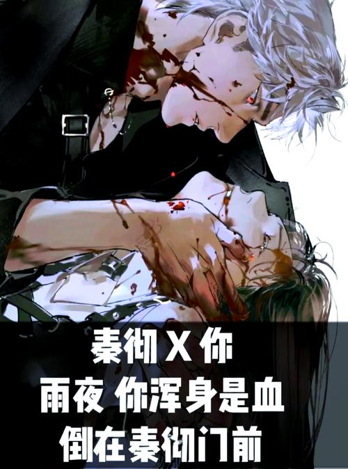 秦彻和夏以昼的evol区别